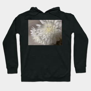 Chrysanthemum Hoodie